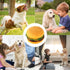 2 Pcs Bite-Resistant Dog Toys - Squeaky Chewing Toys for Tooth Cleaning, Dog Training, Hamburger Pet Toys