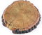 AQUA KT Aquatic Turtle Round Floating Dock, Tortoise Basking Platform with Suction Cup for Reptile Decoration