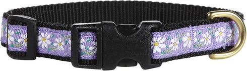 Up Country Daisy Dog Collar, Small (9 to 15 inches), 5/8 inch Narrow Width