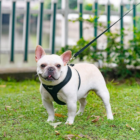 PUPTECK Soft Mesh Dog Harness and Leash Set - Comfort Padded Vest No Pull Harnesses for Pets, Solid Black, M