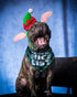 JPB Christmas Dog Bandana Pack of 4 Classic Buffalo Plaid Pets Scarf Triangle Bibs Kerchief Set
