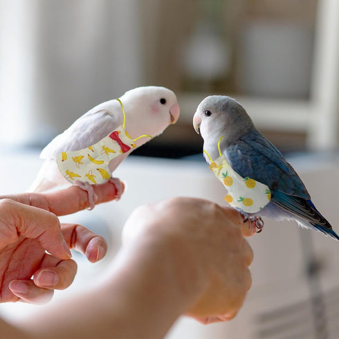 4 Pcs Bird Diaper Parrot Nappy Reusable Flight Suit with Waterproof Inner for Parakeet Cockatiel Mini Macaw Budgie