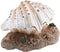 Acouto Aquarium Bubbler Decor - Coral Reef Aerating Action Ornament, Fish Tank Shell Pearl Bubbler Decoration