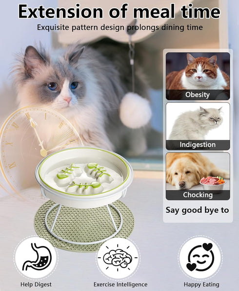 Raised Cat Dog Slow Feeder Bowl with Stand, Elevated Shallow Design, No Whisker Fatigue Ceramic Feeder