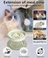 Raised Cat Dog Slow Feeder Bowl with Stand, Elevated Shallow Design, No Whisker Fatigue Ceramic Feeder