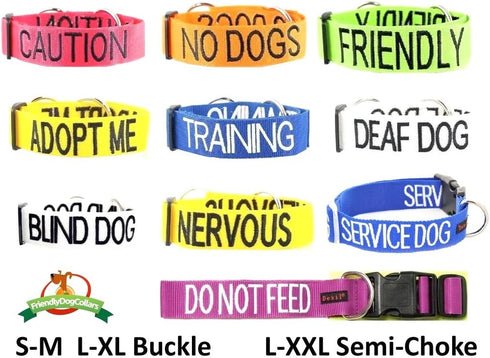 Friendly Green Colour Coded Buckle Dog Collar S-M L-XL Prevents Accidents