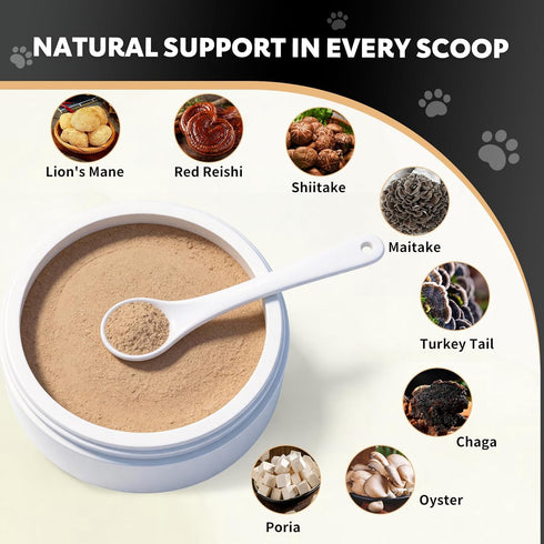 120 8 Immune, Mushroom Powder Supplements for Dogs and Cats Lump & Bumps Scoops Types of Mushrooms Blend Herbal