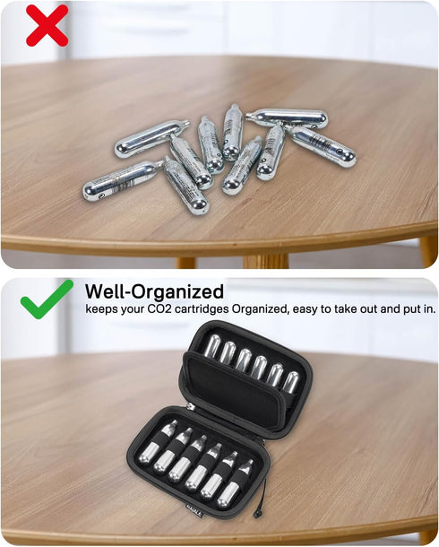 RAIACE CO2 Cartridges Storage Case, Compatible with Crosman & Umarex, Case Only (CO2 Cartridges Not Included)