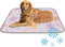 imiBBWQu Cooling Pad Starfish Jellyfish Purple Outdoor Mat for Dogs Washable Cooling Pads