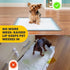24 24 TidyFriend Dog Pee Pad Holder Tray - Fits Up to x Pee Pad Holder for Dogs - Stable Grip, Raised Edges, Quick-Wipe