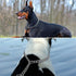 TagME Adjustable Chain Choke Collar for Dogs, Weather Proof Necklace for Extra Large Dogs