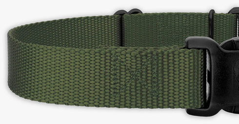 Country Brook Petz Heavy Duty Nylon Adjustable Martingale Dog Collar with Deluxe Buckle for Small Medium Large Breeds