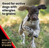 Victor Super Premium Grain Free Dog Food – Active Dog & Puppy, 33% Protein, Gluten Free, 15lbs