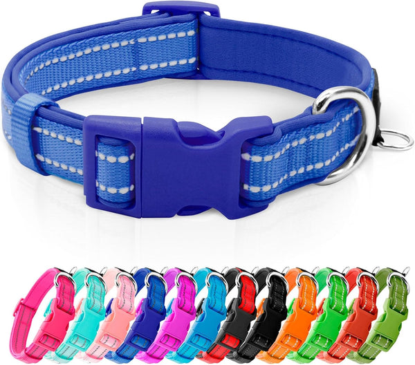 Azuza Reflective Dog Collar, Soft Neoprene Padded with ID Tag Ring, Adjustable for Medium Dogs (Royal Blue, M)