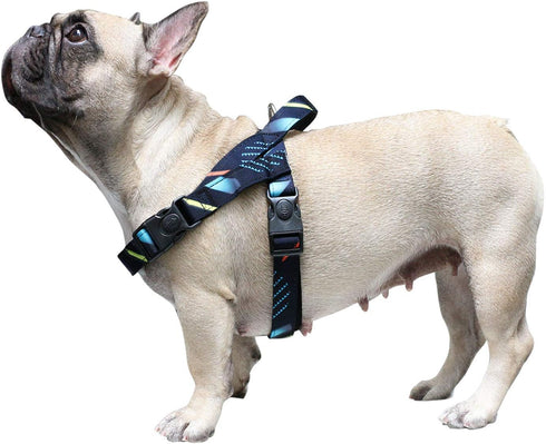 iChoue French Bulldog Harness - Adjustable Padded Locked Buckle with Handle for Frenchie, Pug, English, Boston Terrier