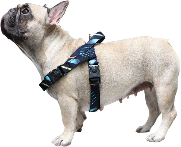 iChoue French Bulldog Harness - Adjustable Padded Locked Buckle with Handle for Frenchie, Pug, English, Boston Terrier