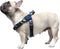 iChoue French Bulldog Harness - Adjustable Padded Locked Buckle with Handle for Frenchie, Pug, English, Boston Terrier