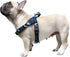 iChoue French Bulldog Harness - Adjustable Padded Locked Buckle with Handle for Frenchie, Pug, English, Boston Terrier