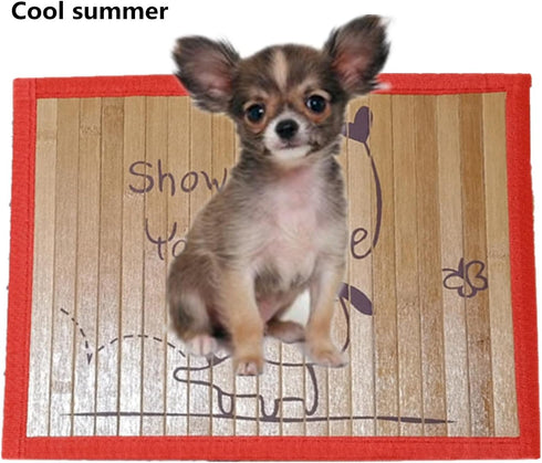 Pet Dog Bamboo Pad, Summer Portable Washable Mat with Cartoon Pattern, Cool Bed Sleeping Mattress for Dogs
