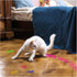 4 8 Andiker Cat Toys for Indoor Cats, Big Cat Springs & Small Springs Cat Interactive Toy for Cats Swatting, Biting