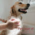 Pet Bath Brush, Soft Silicone Dog Bathing Brush with Shampoo Dispenser for Cats and Dogs (Pink)