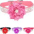 Rhinestone Dog Collar for Small Medium Dogs, Pink Flower Puppy Collar for Spring Summer Weddings