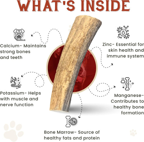 Heartland Elk Antlers for Dogs - Grade A Naturally Shed Antlers | Chew Toy for Aggressive Chewers & Teething Puppies