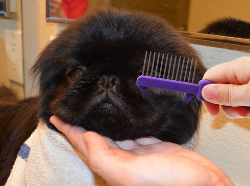 Hertzco Double-Sided Comb Hair Brush & Dog/Cat Grooming Kit - Detangling Tool with Closely Spaced Metal Pins