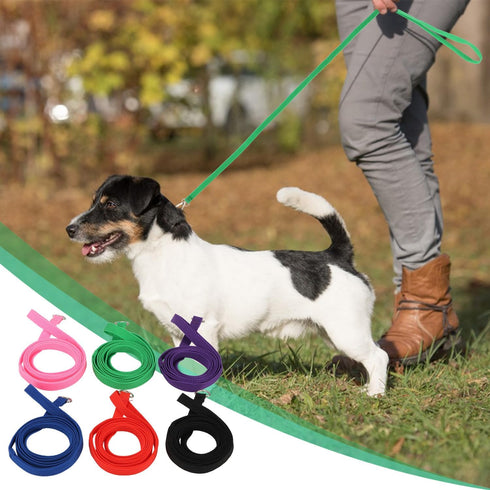 Hypeety 6 Pcs Bulk Pack Slip Leads Dog Pet Grooming Kennel Small Animal Control Shelter Leash