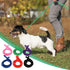 Hypeety 6 Pcs Bulk Pack Slip Leads Dog Pet Grooming Kennel Small Animal Control Shelter Leash