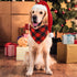 Malier 2 Pack Dog Bandana Christmas Classic Plaid Pet Scarf Triangle Bibs for Small Medium Large Dogs