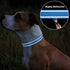 TagME Adjustable Reflective Nylon Dog Collars, Quick Release Buckle for Medium Dogs, Sky Blue, 1.0" Width