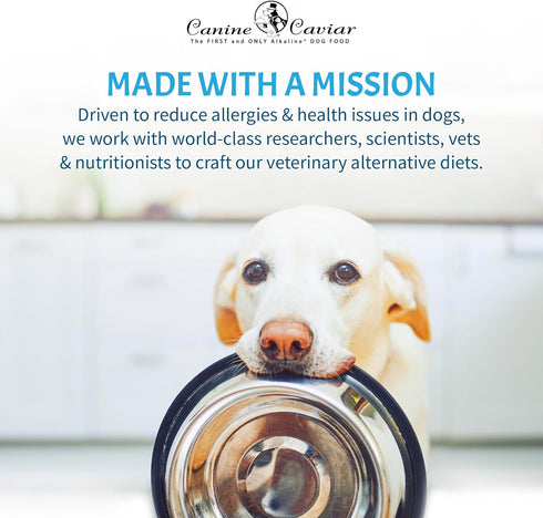 Canine Caviar - Wild Ocean: Herring & Quinoa Alkaline Dry Dog Food, Limited Ingredients, Gluten-Free, 4.4 Pound Bag