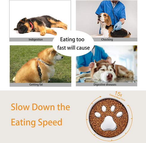 Slow Feeder Dog Bowls,2 Cups Stainless Steel Non-Slip Dog Slow Feeder Bowl,Dog Bowl Slow Feeder for Small & Medium Sized Dogs,Slow Down Eating Dog Bowl for Fast Eaters