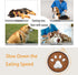 Slow Feeder Dog Bowls,2 Cups Stainless Steel Non-Slip Dog Slow Feeder Bowl,Dog Bowl Slow Feeder for Small & Medium Sized Dogs,Slow Down Eating Dog Bowl for Fast Eaters