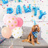 Mihachi Dog Birthday Party Supplies - Bandana and Hat with Number, Triangle Scarf for Decoration Gift for Small Medium
