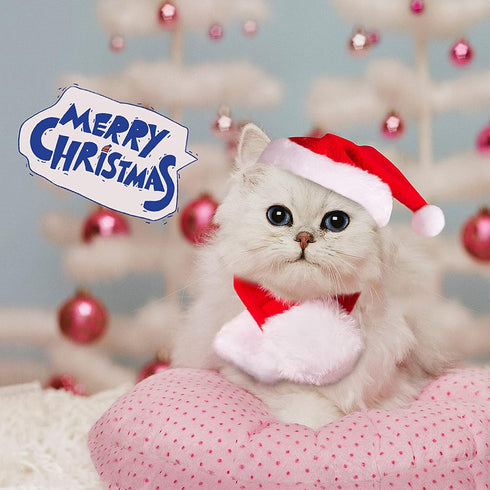 NAMSAN Cat Santa Hat Scarf, Small Dog Christmas Costume with Red Muffler for Kitten, Doggy, Rabbit Decoration