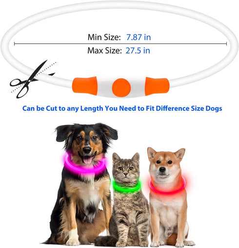 Flashseen LED Dog Collar - USB Rechargeable Glowing Lighted Collar, Water-Resistant TPU Safety Lights for Dogs