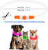 Flashseen LED Dog Collar - USB Rechargeable Glowing Lighted Collar, Water-Resistant TPU Safety Lights for Dogs