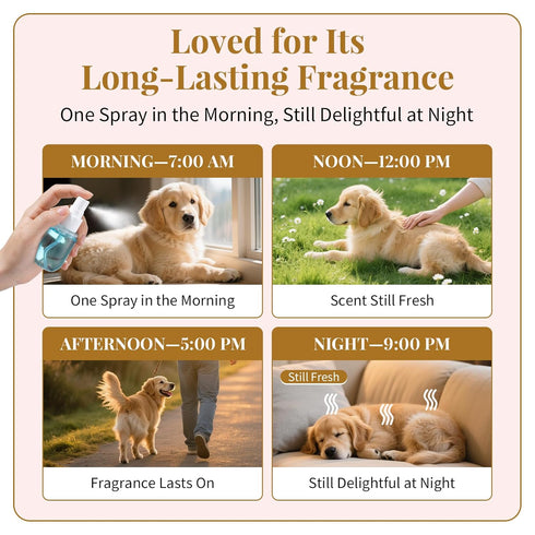 Generic Set 5 Dog Cologne & Pet Perfume Gift Long Lasting Scents for Dogs & Cats Natural, Alcohol-Free Pet Fragrance