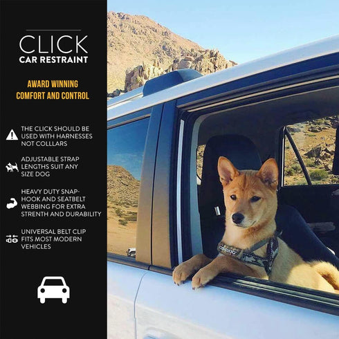 CLICK Dog Seat Belt for Car by EzyDog - Adjustable Heavy Duty Nylon Attachment