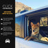 CLICK Dog Seat Belt for Car by EzyDog - Adjustable Heavy Duty Nylon Attachment