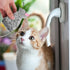 3pcs SEWACC Cat Toys Interactive Kitten Plush Toy for Exercise and Play