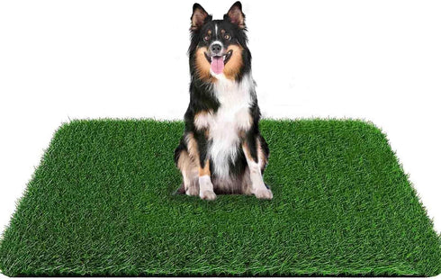 Grass Pad for Dogs, 59.1 x 39.4 inches, Soft Real Grass for Potty Training, Easy to Clean Fake Grass