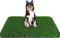 Grass Pad for Dogs, 59.1 x 39.4 inches, Soft Real Grass for Potty Training, Easy to Clean Fake Grass