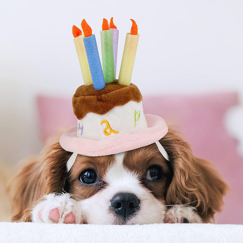 LESYPET Dog Birthday Hat, Pet Birthday Cake Hat with Candle for Dog Cat Party Costume, Pink Size S
