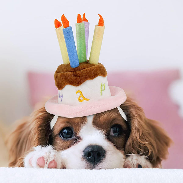 LESYPET Dog Birthday Hat, Pet Birthday Cake Hat with Candle for Dog Cat Party Costume, Pink Size S