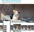 Pet Camera, 2K HD Dog Camera with Phone APP, 360° Pan/Tilt View, Night Vision, Motion Tracking Alarm