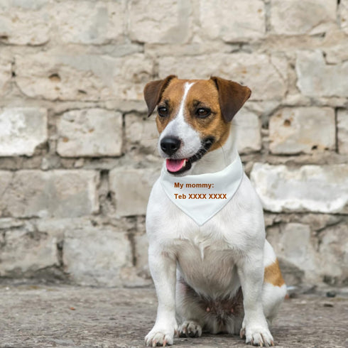 Dog Bandana Collar, 4 PCS White Triangle Adjustable Buckle Sublimation Blank DIY for Dogs and Cats, S