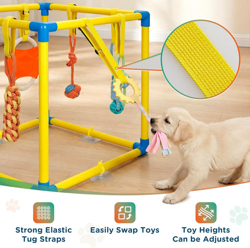 0-6 TOOGE Upgraded Puppy Play Gym: Small Dog Puppy Jungle Gym Playground Adjustable Hanging Dogs Enrichment Chew Toys